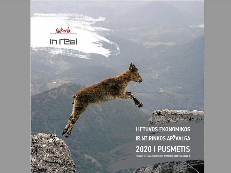 2020 m. I pusmečio Lietuvos ekonomikos ir NT rinkos apžvalga